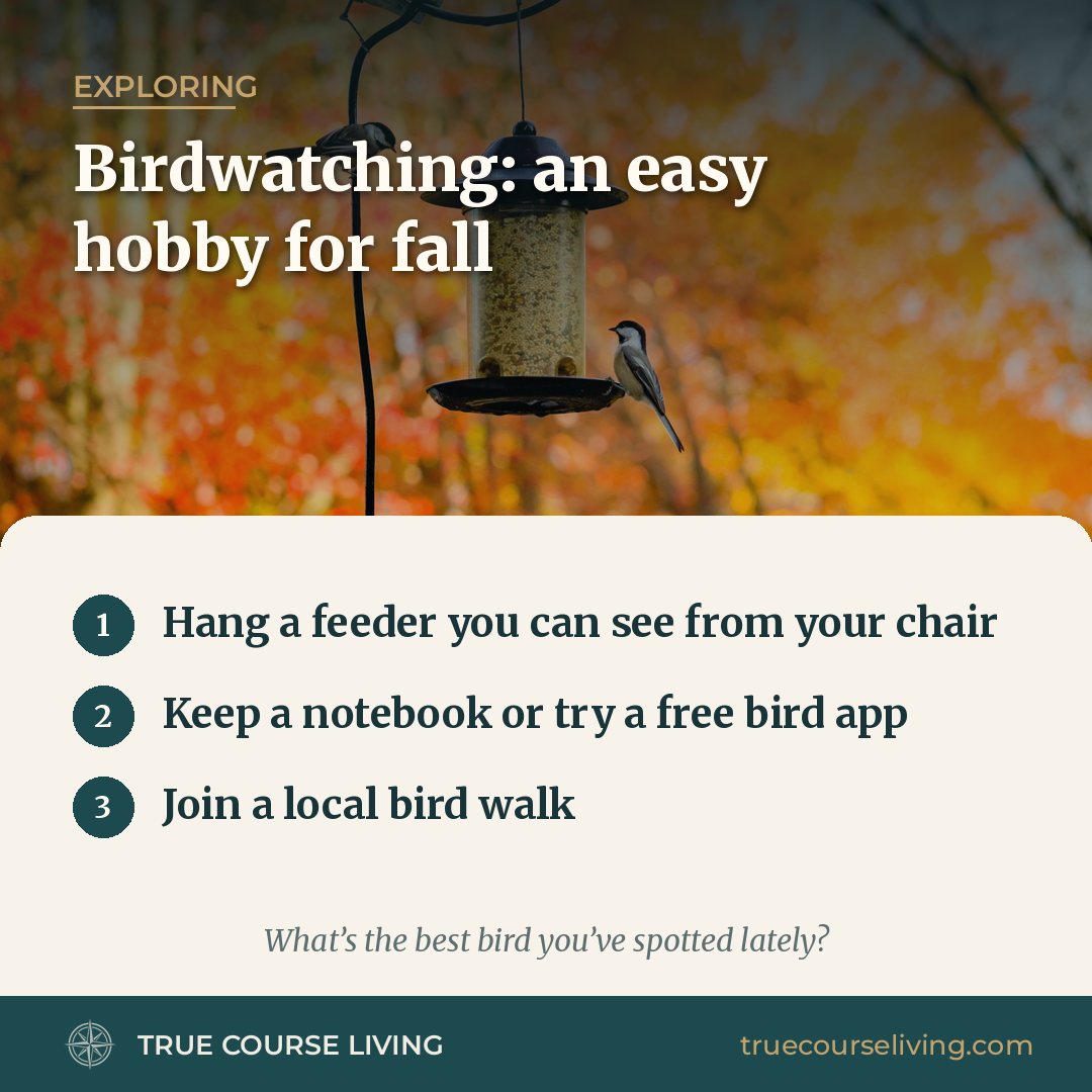 Tip card: Birdwatching: An Easy Hobby for Fall